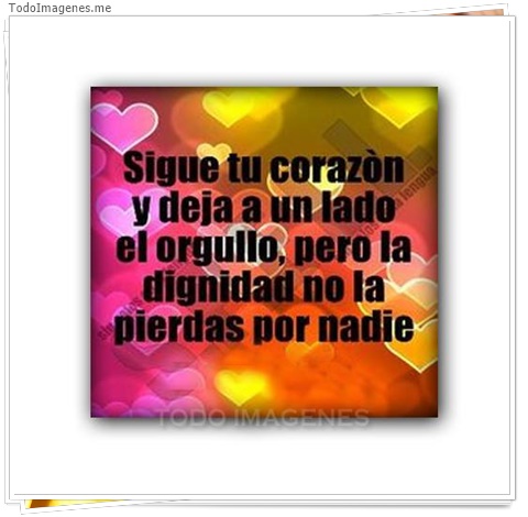 imagen de 4961-20160302-034036