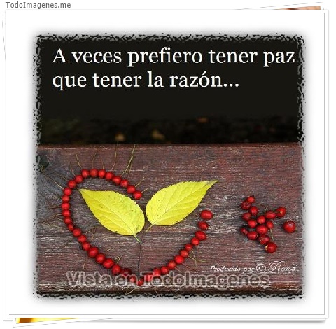 imagen de 498-20160509-130744