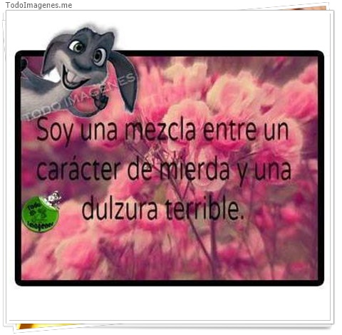 imagen de 6392-20160302-034143