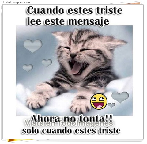 imagen de 10969-20160302-034640