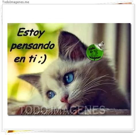 imagen de 2389-20160302-033840