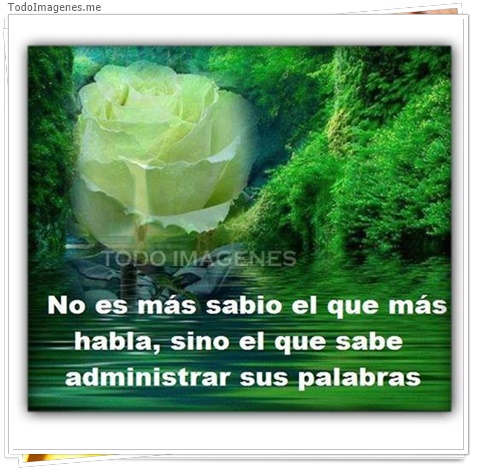 imagen de 9816-20160302-034513