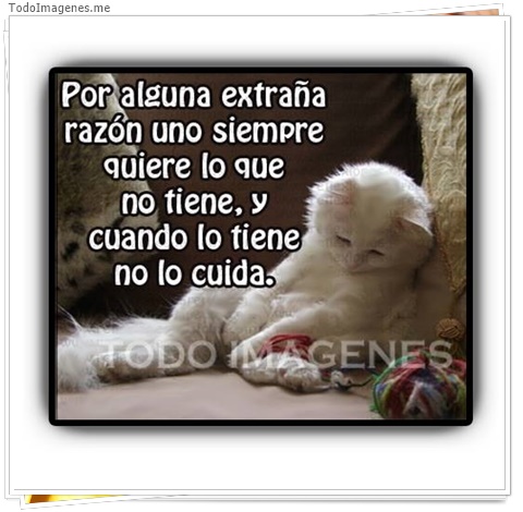 imagen de 2779-20160302-033857