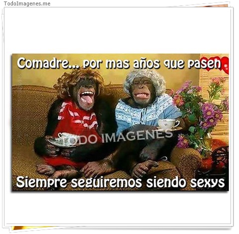 imagen de 238-20160302-033701
