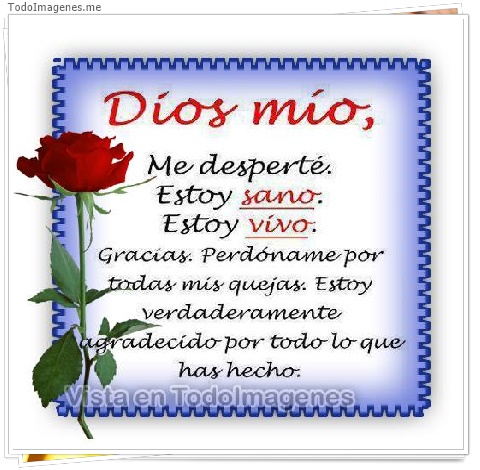 imagen de 546-20160608-192818