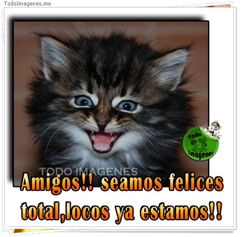 imagen de 5663-20160302-034108