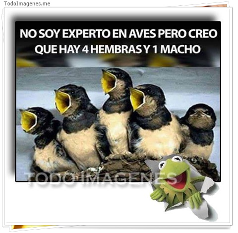 imagen de 610-20160302-033720