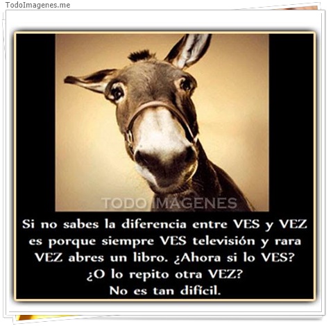 imagen de 8216-20160302-034326