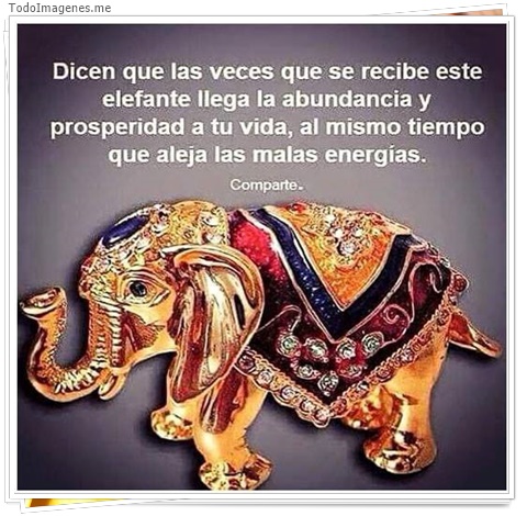 imagen de 582-20160302-033718
