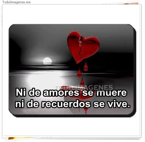 imagen de 4115-20160302-033959