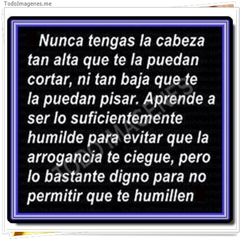 imagen de 5230-20160302-034049