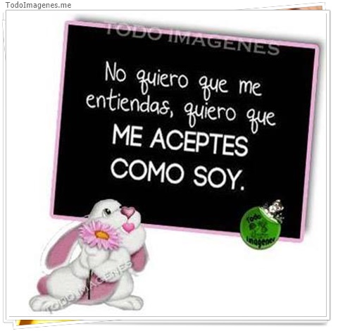 imagen de 6261-20160302-034136