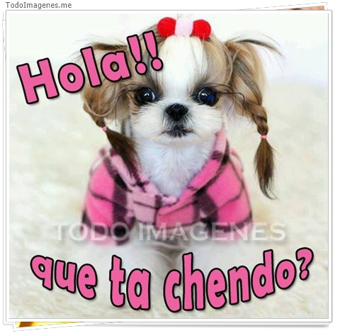 imagen de 2653-20160302-033851