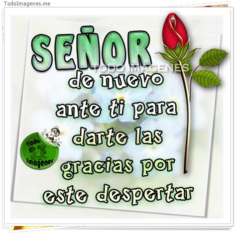 imagen de 6965-20160302-034210