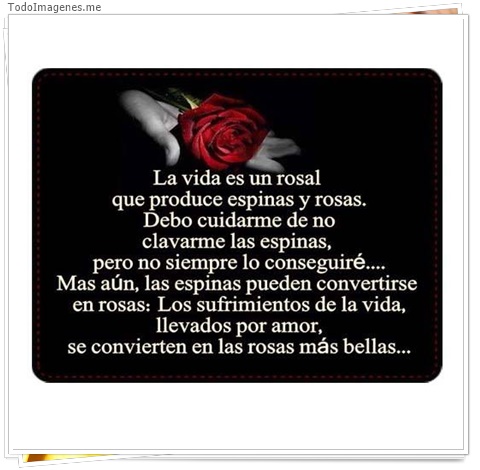 imagen de 4297-20160302-034007