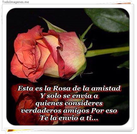 imagen de 6830-20160302-034203