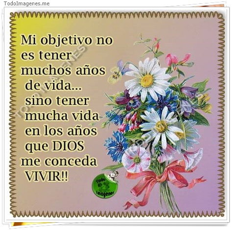 imagen de 5019-20160302-034040