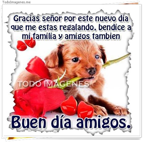 imagen de 2288-20160302-033836