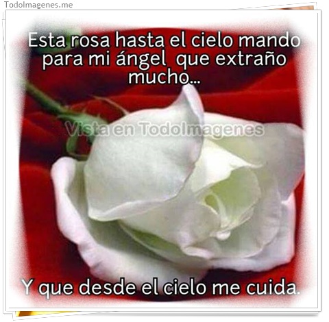 imagen de 277-20160810-120300