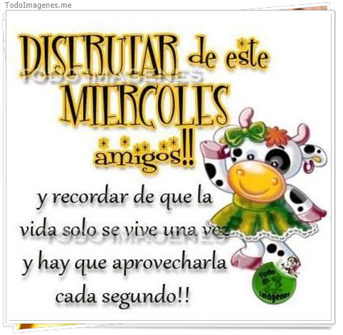 imagen de 034-20161111-181039