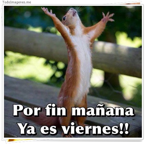 imagen de 3846-20160302-033947