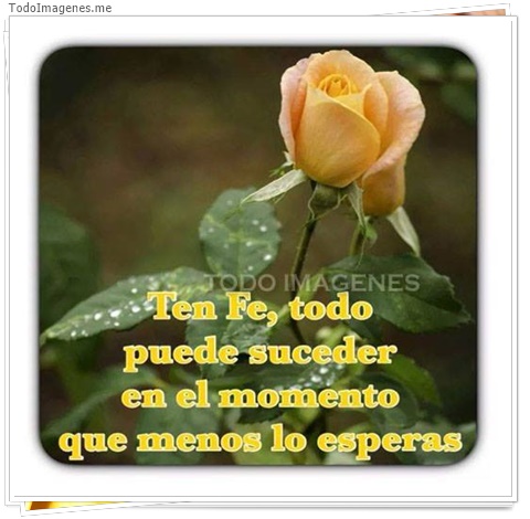 imagen de 8324-20160302-034333