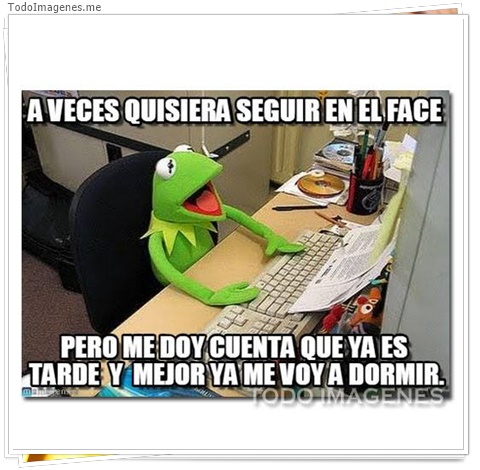 imagen de 3334-20160302-033923