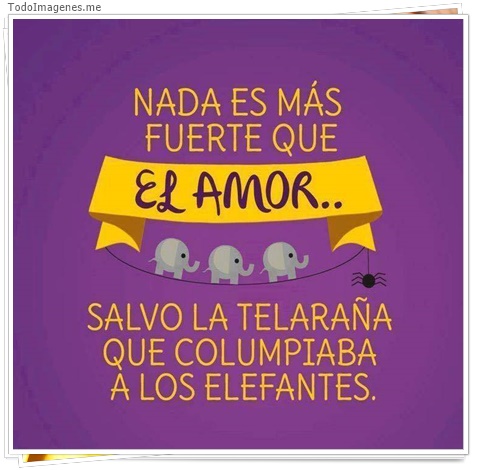 imagen de 5959-20160302-034122