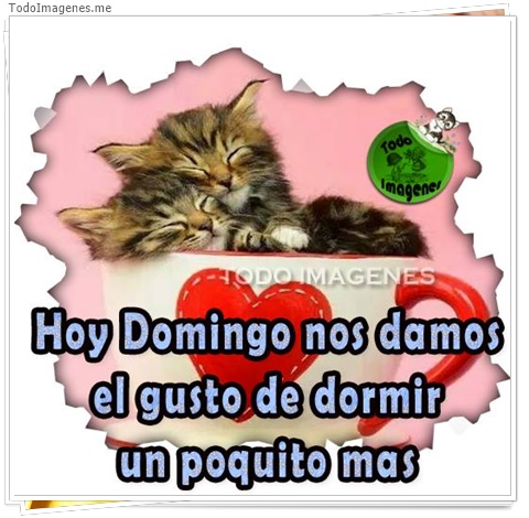 imagen de 6726-20160302-034158