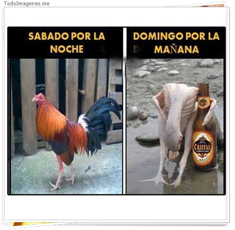 imagen de SABADO POR LA NOCHE, DOMINGO POR LA MAÑANA
