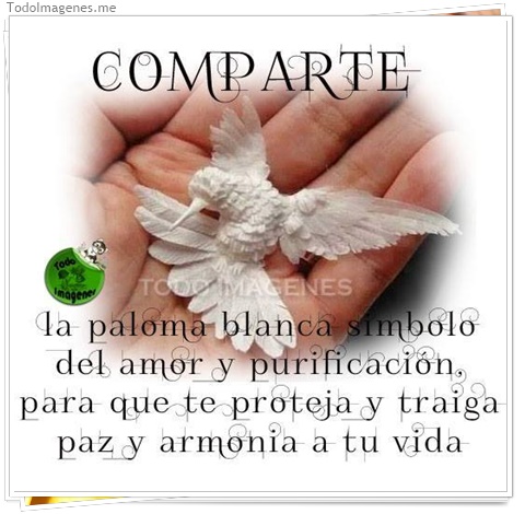 imagen de 194-20160810-120256