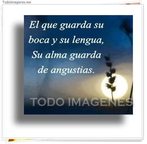 imagen de 2193-20160302-033831