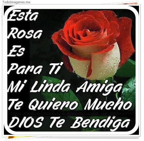 imagen de 4644-20160302-034022