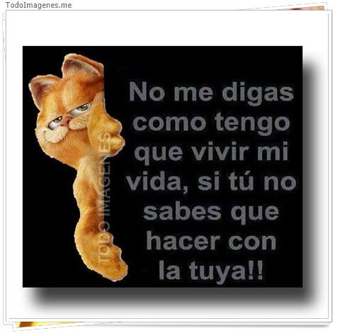 imagen de 7644-20160302-034248
