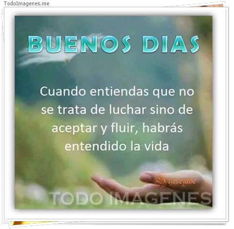 imagen de 1288-20160302-033750