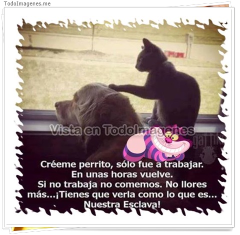 imagen de 11341-20160302-034703