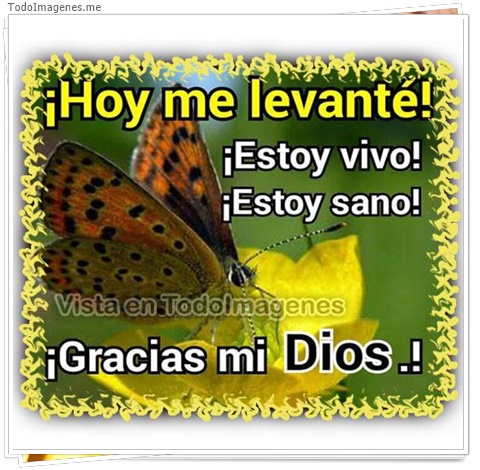 imagen de 10141-20160302-034539